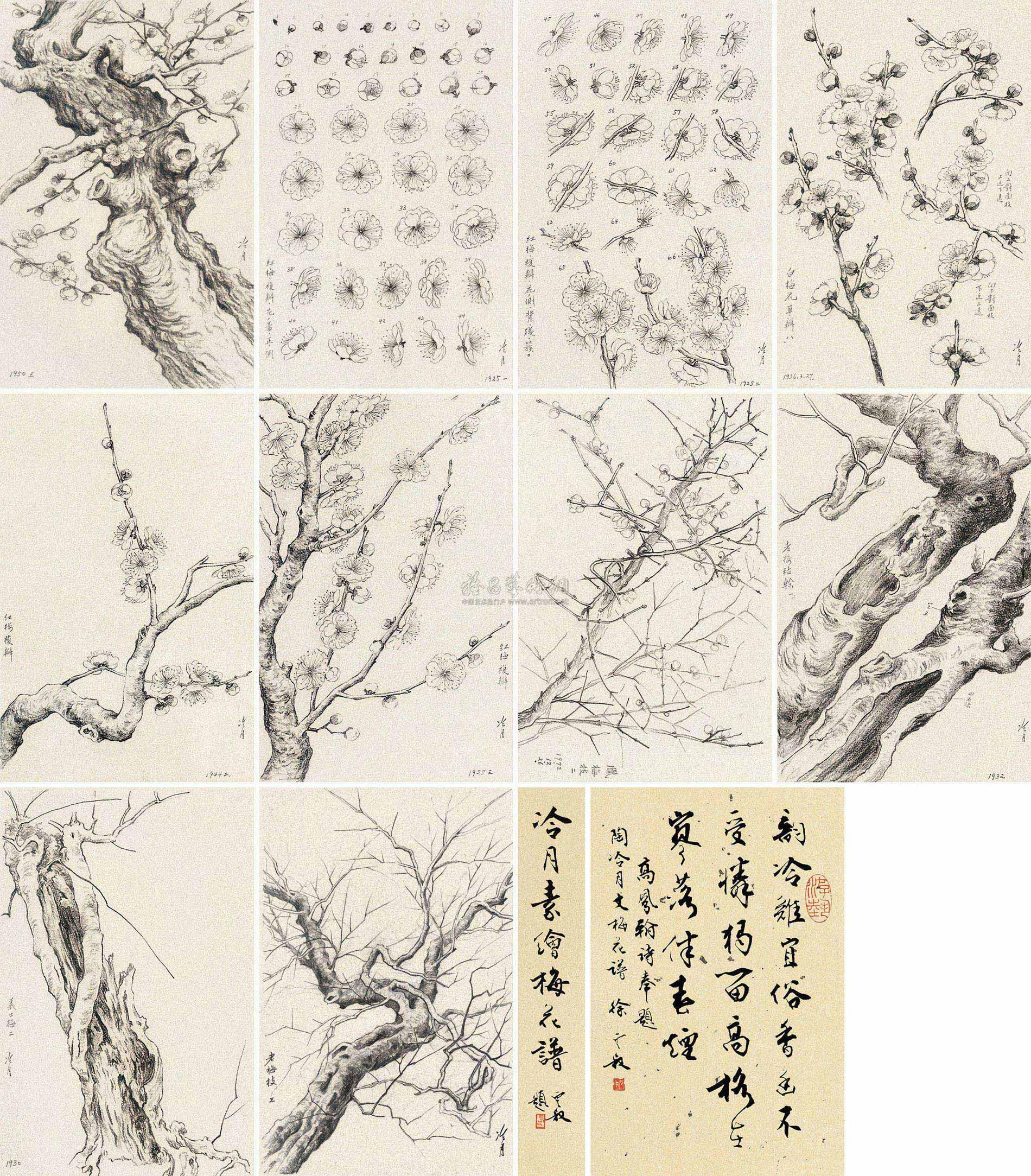 0888 冷月素绘梅花谱 铅笔纸本