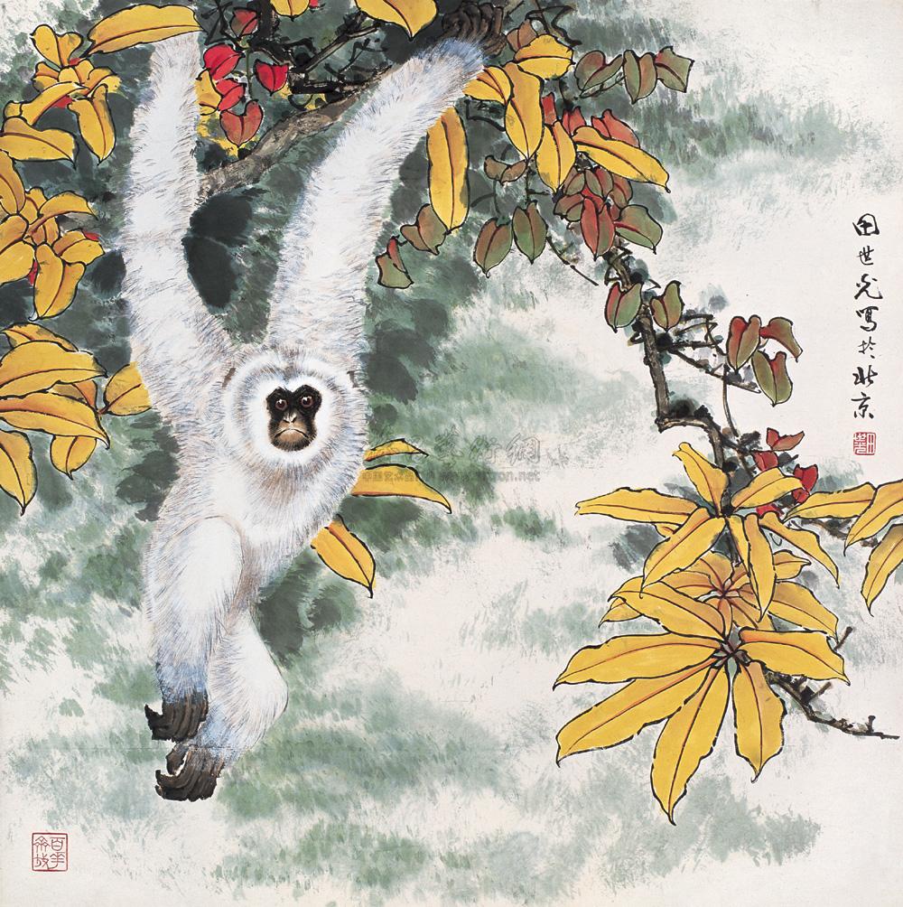 0387 白猿 镜心 设色纸本