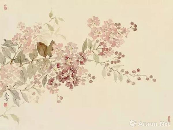 《花开》宋秦晋写生作品展