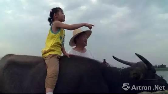 资讯 资讯详细   远离繁华舒适的都市,来到农村体验养牛,牧牛的生活