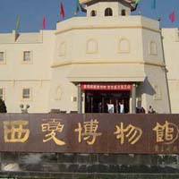 西夏博物馆