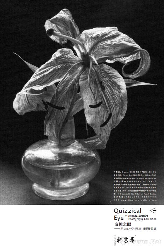 “奇趣之眼”罗达尔-帕特里奇摄影作品展