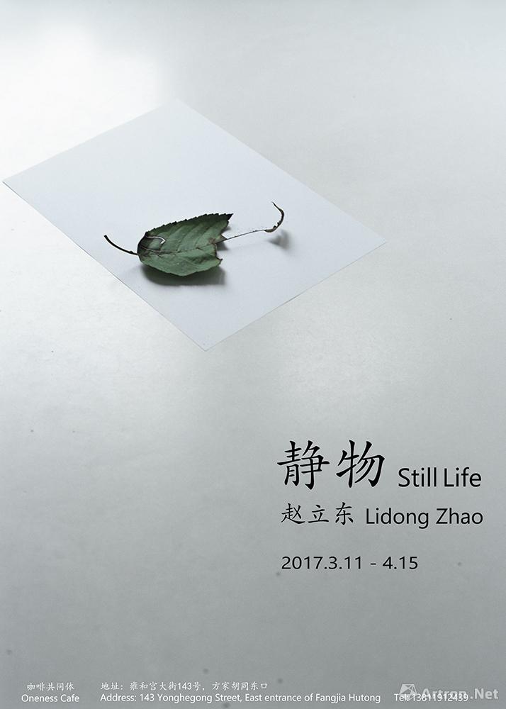 “静物”赵立东作品展
