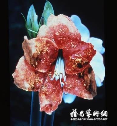 图片版权归原作者所有