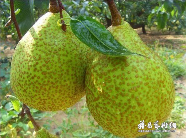 图片版权归原作者所有