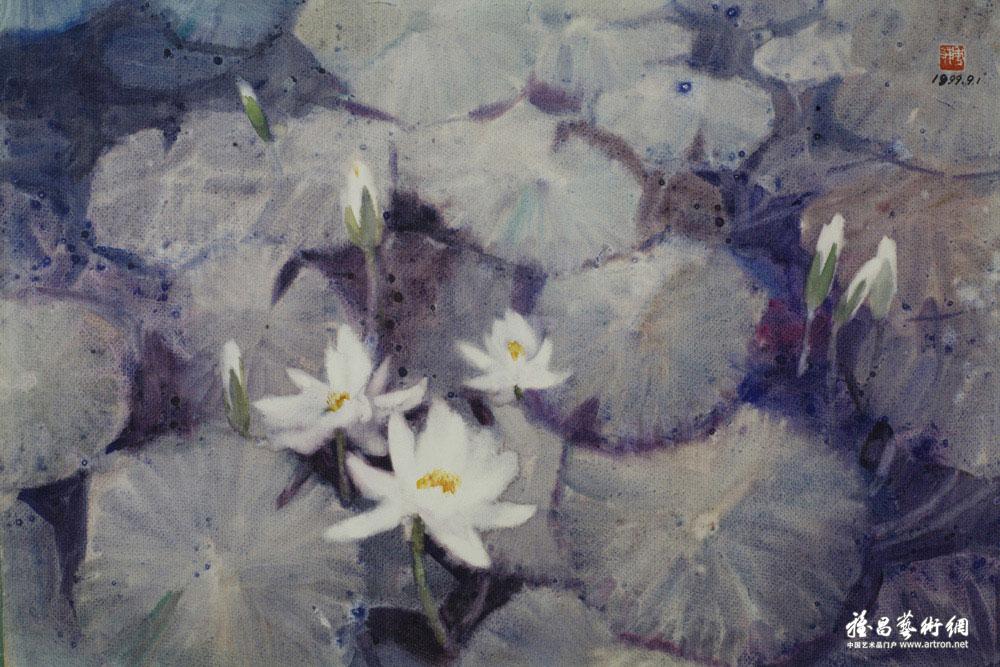 水彩作品—花卉059