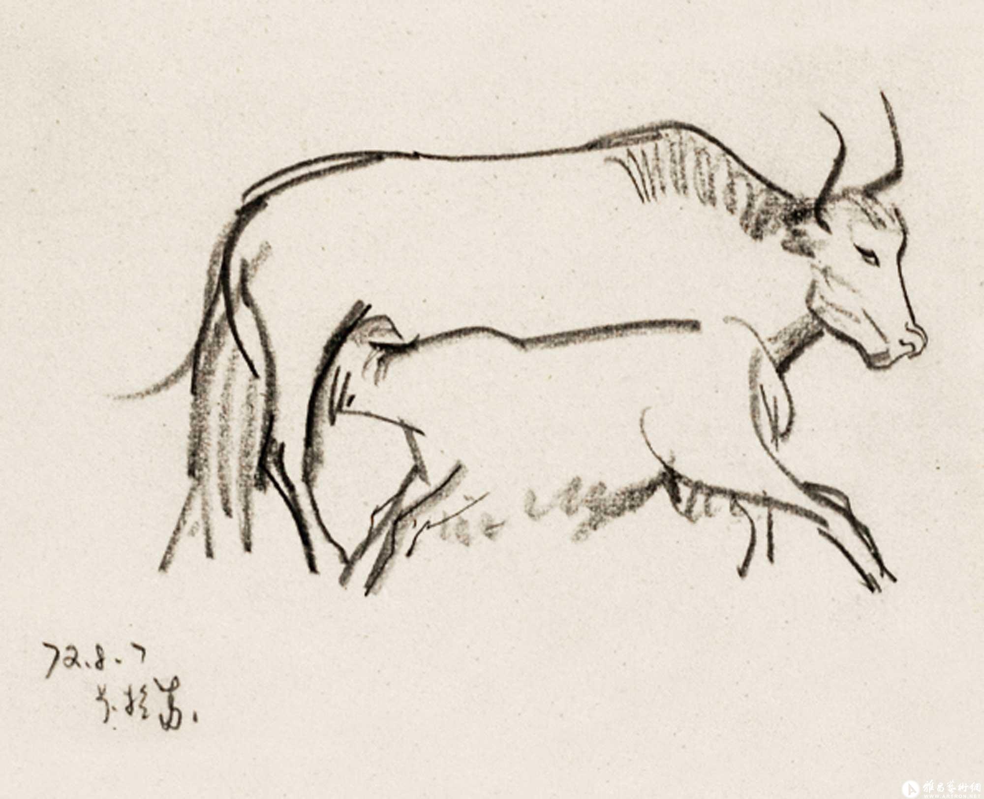 帕米尔高原的牦牛
