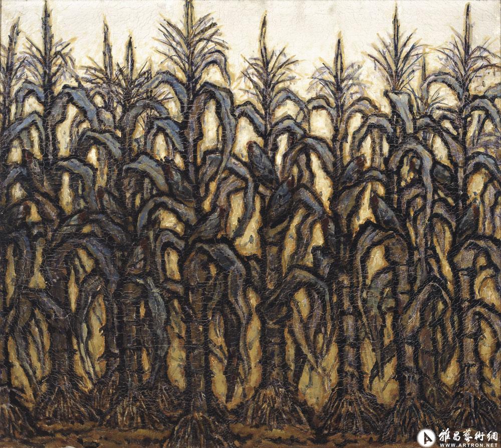 玉米图^_^Corn Oil on Canvas