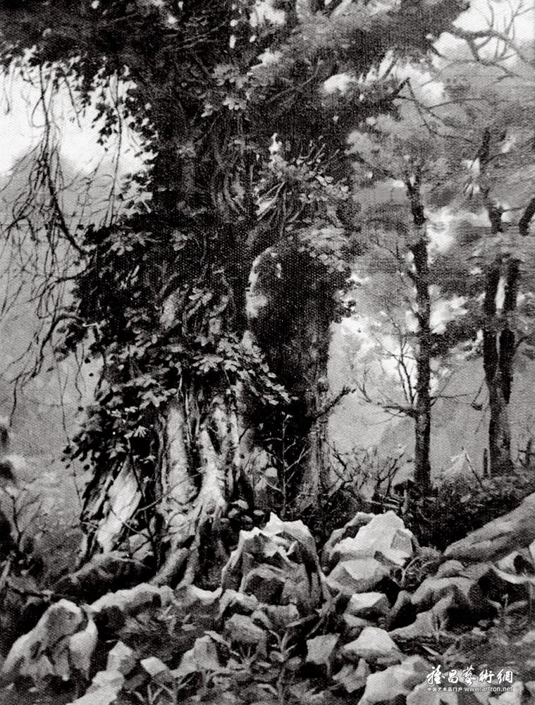 1982年曹勇在巴玛瑶族自治县《 老树》
