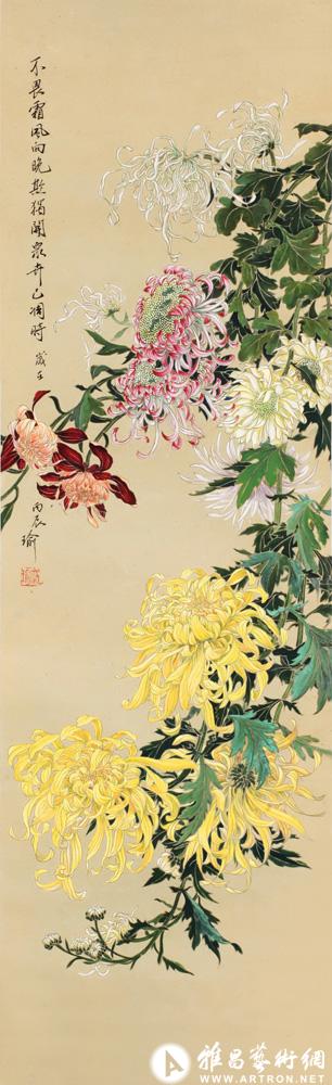 达芬奇彩菊图片