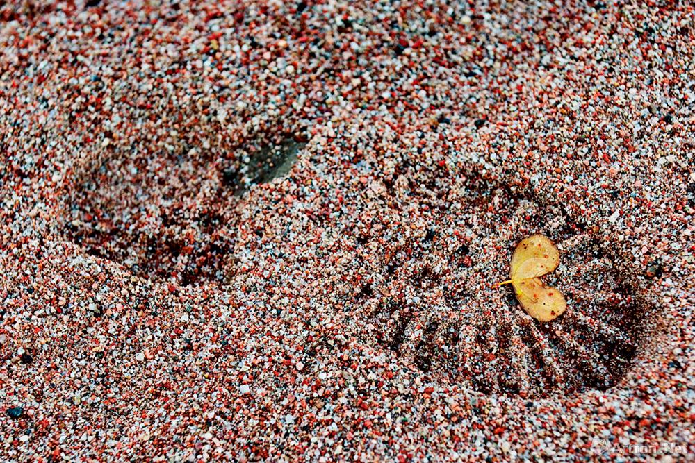 王石作品：2006.10.27 印度加尔各答港口的胡格里斯河沙滩。“玄奘之路”文化考察活动的终点拍下脚印留个纪念。