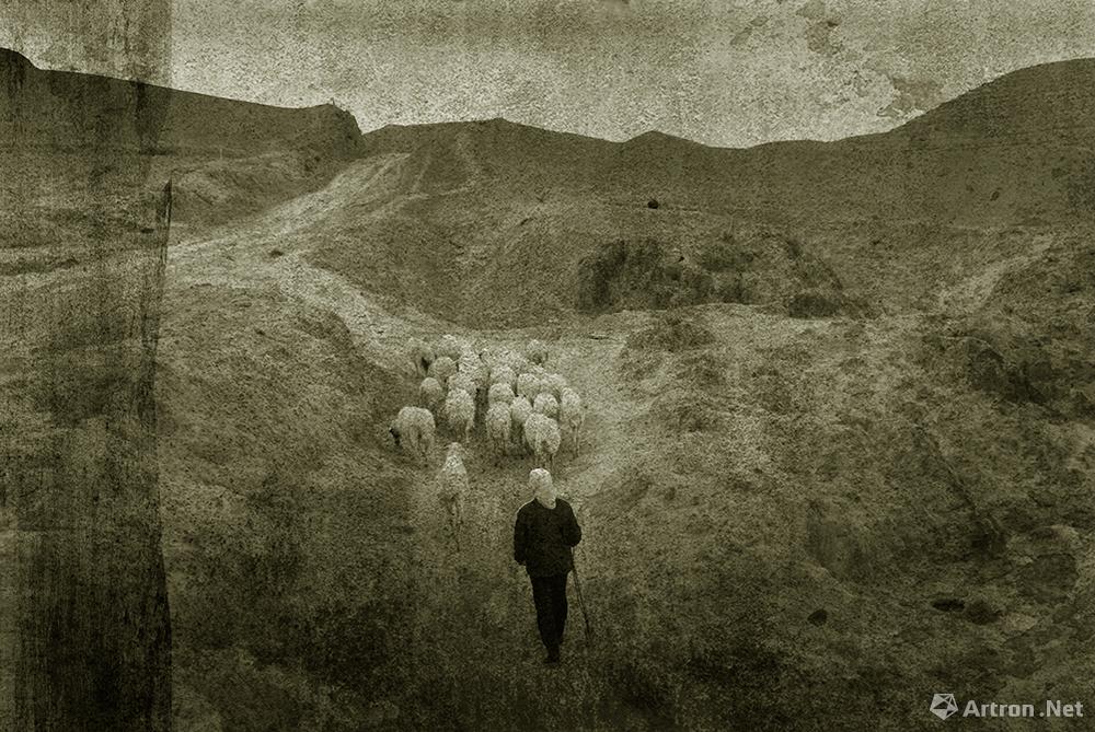 左伟作品：放羊的人
