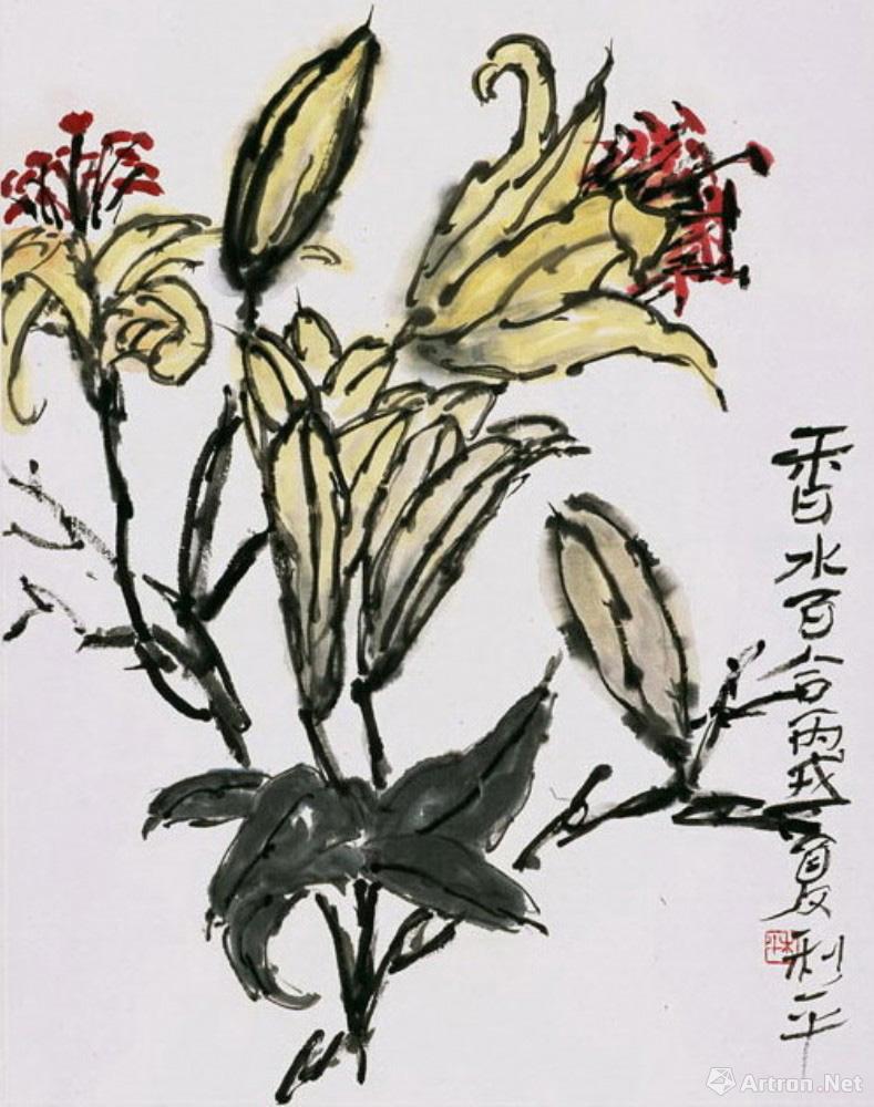 香水百合 Lily Sketch