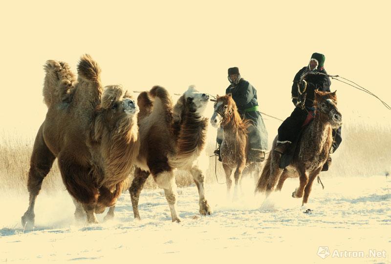 2011年12月，摄于内蒙古呼伦贝尔鄂温克旗《栉风沐雪》