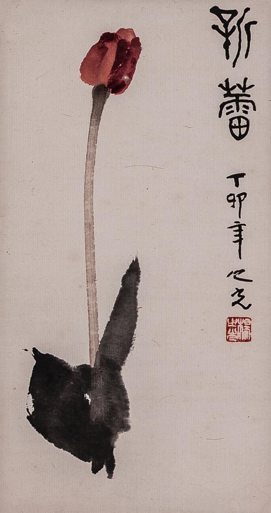 新蕾