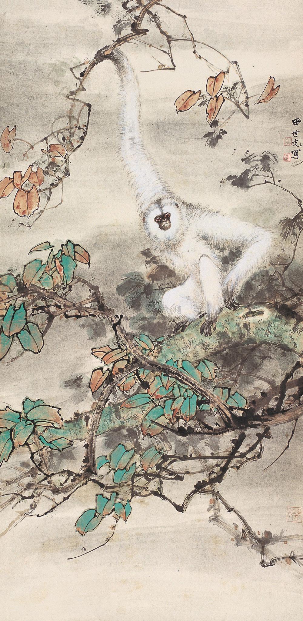 0488 白猿 立轴 设色纸本