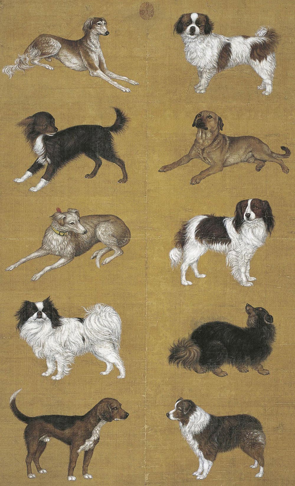 郎世宁的十犬图有几幅图片