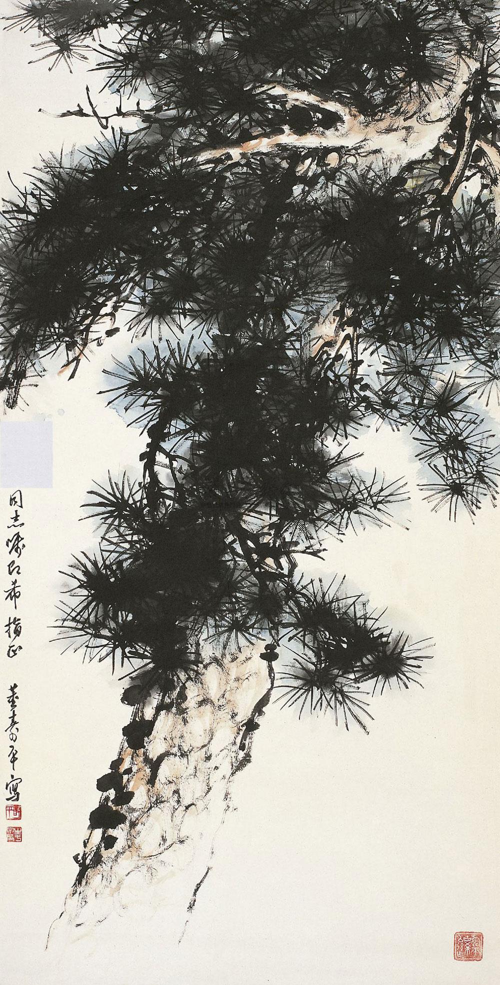 1455松树