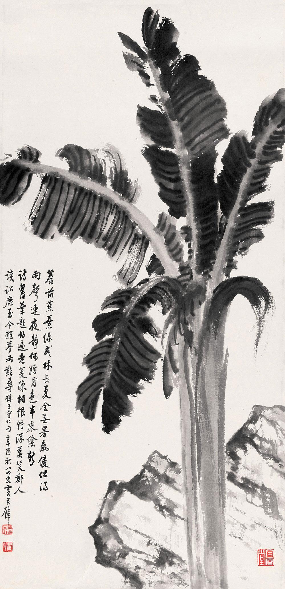 3327 1981年作 芭蕉 镜心 水墨纸本