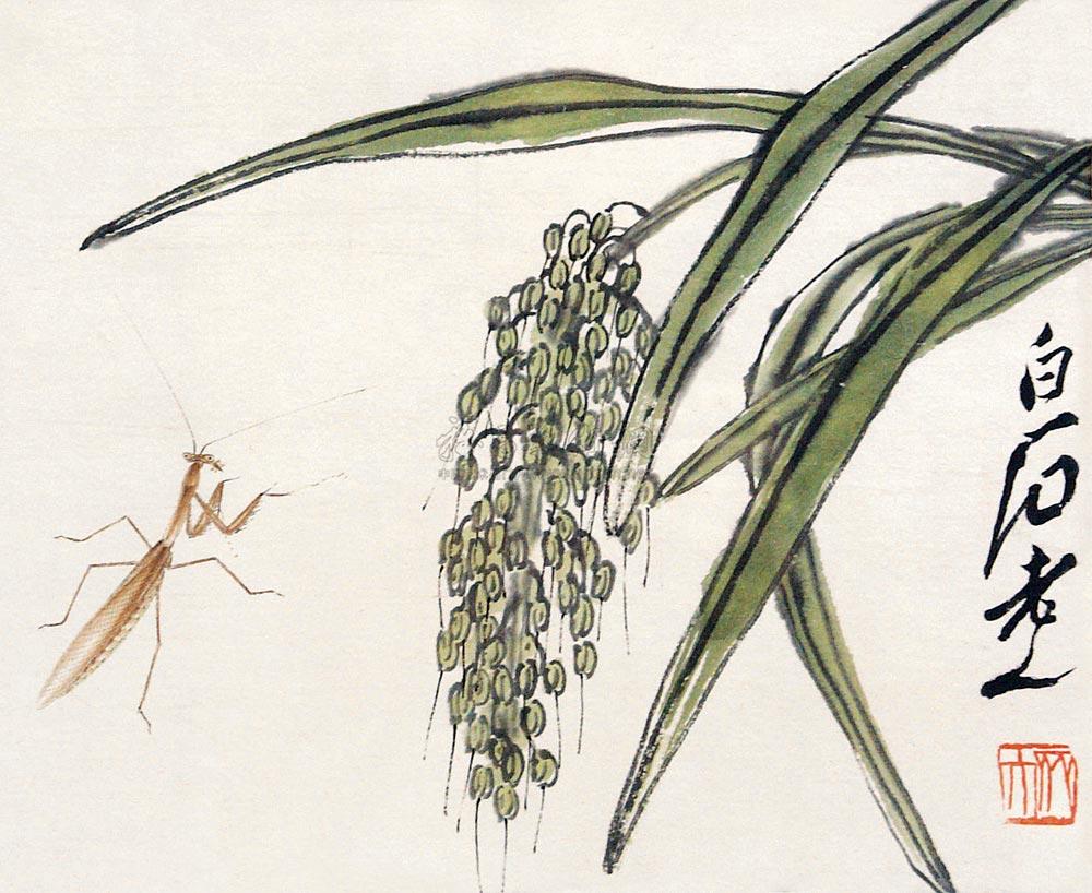 0374 稻穗草虫 镜心
