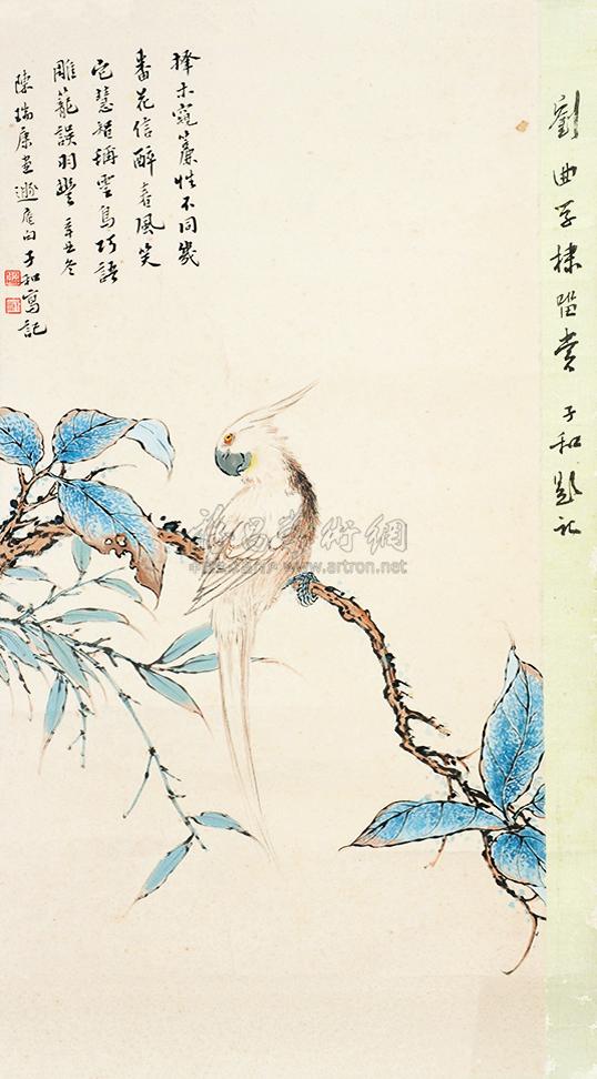 吴悦石绶带鸟图片