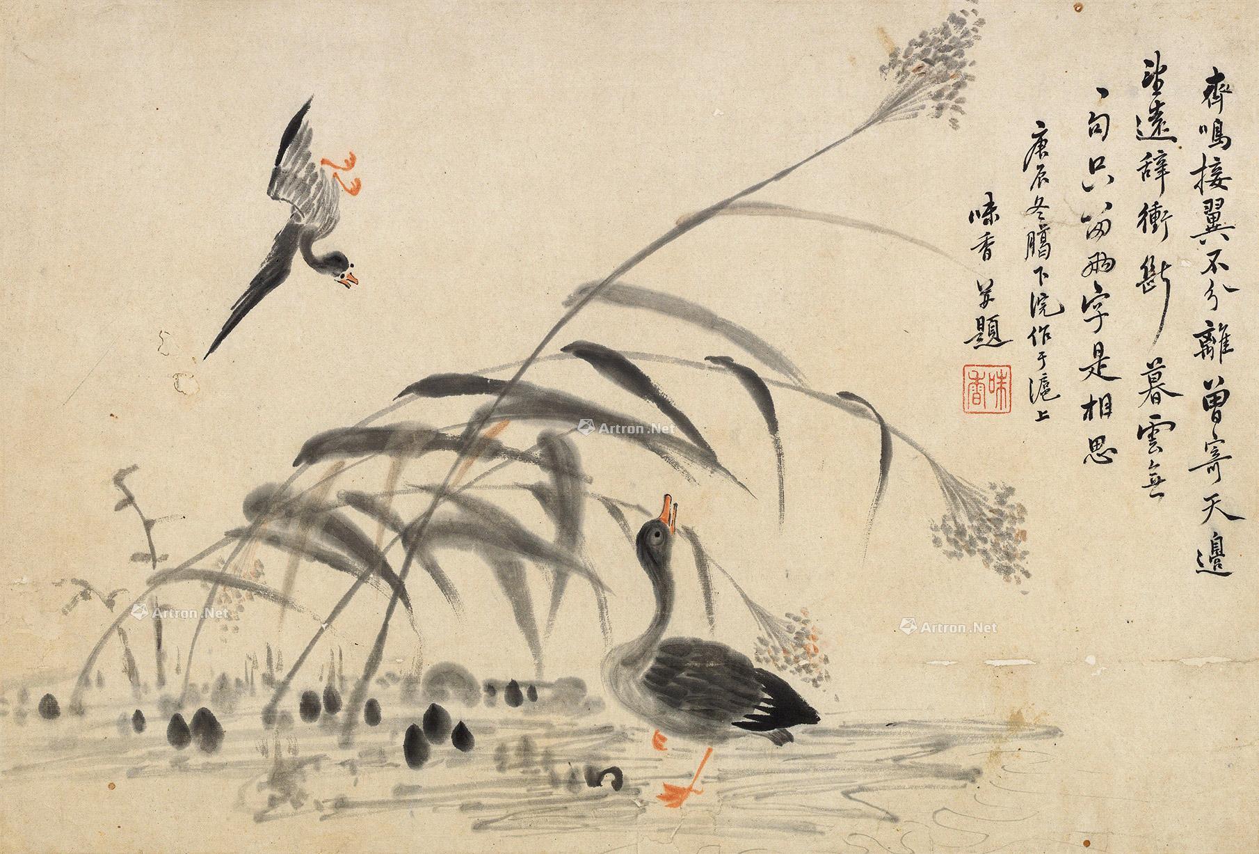 *0086 芦雁 镜片 设色纸本