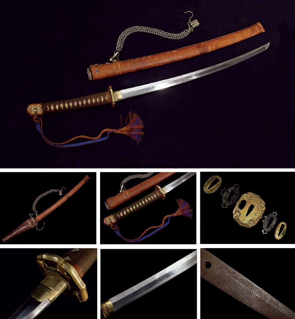 彩鞘武士刀市场现状调研及发展前景分析报告(目录)