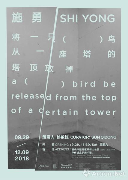 “将一只（ ）鸟从一座塔的塔顶放掉”施勇个展