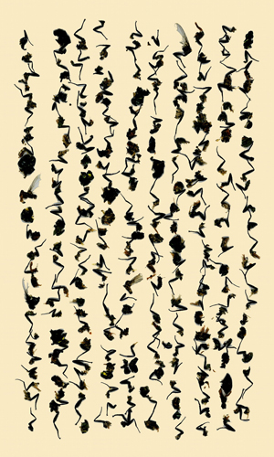 夏天-2,白宜洛,数码照片,210x127cm,2005年