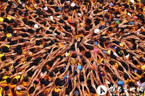 2012年索尼世界摄影大奖揭晓