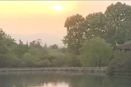 大型电视专题片——中国当代画家陈一耕