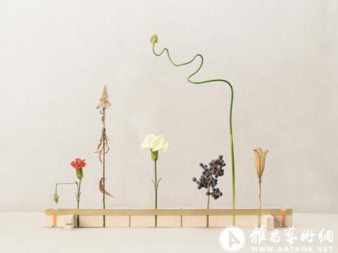 别开生面的花瓶