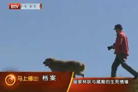揭秘:画家林跃与藏獒催人泪下的生死情缘