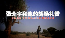 张介宇与他的胡杨礼赞