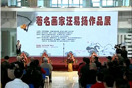 2013返乡个展及音乐会报道——厦门电视台