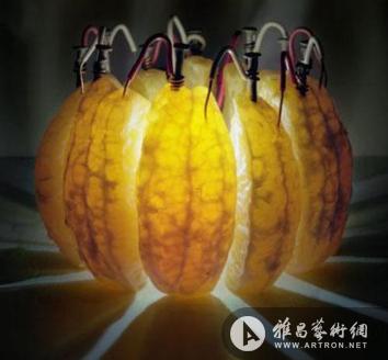 美艺术家制作奇幻“水果灯”可自己供电